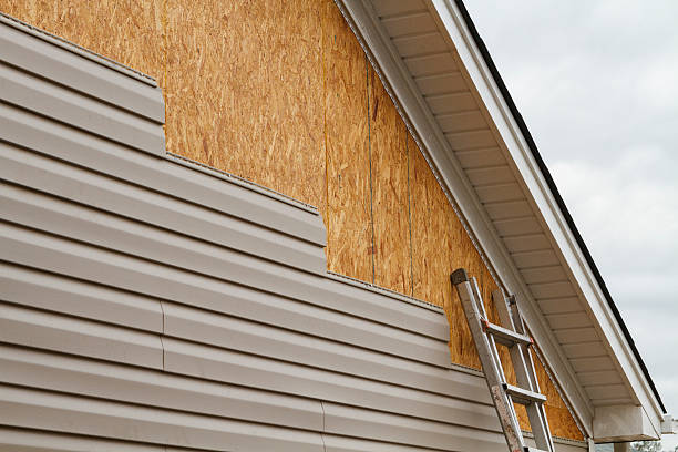 Professional Wood Siding technician working in Woodridge, IL